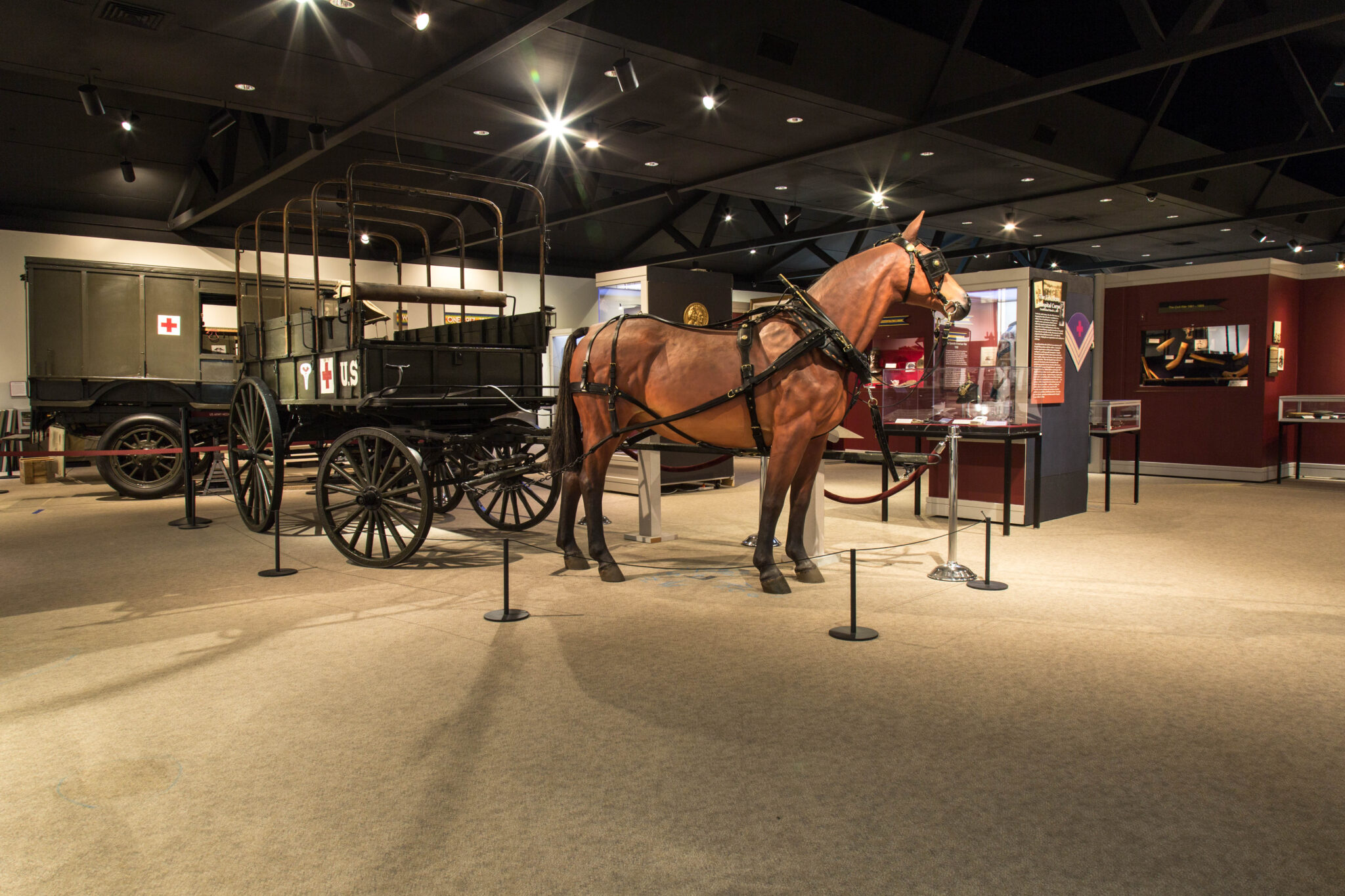 Discover - U.S. Army Medical Department Museum